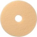 Americo Global Industrial„¢ 20" Carpet Pad, Beige, 5 Per Case 403720